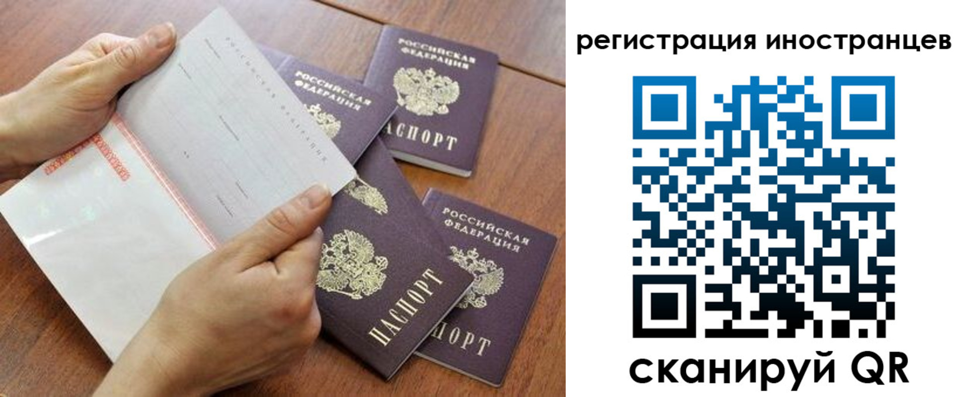прописка поиск в Полярном